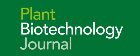 Strong temporal dynamics of QTL action on plant growth progression revealed through high‐throughput phenotyping in canola