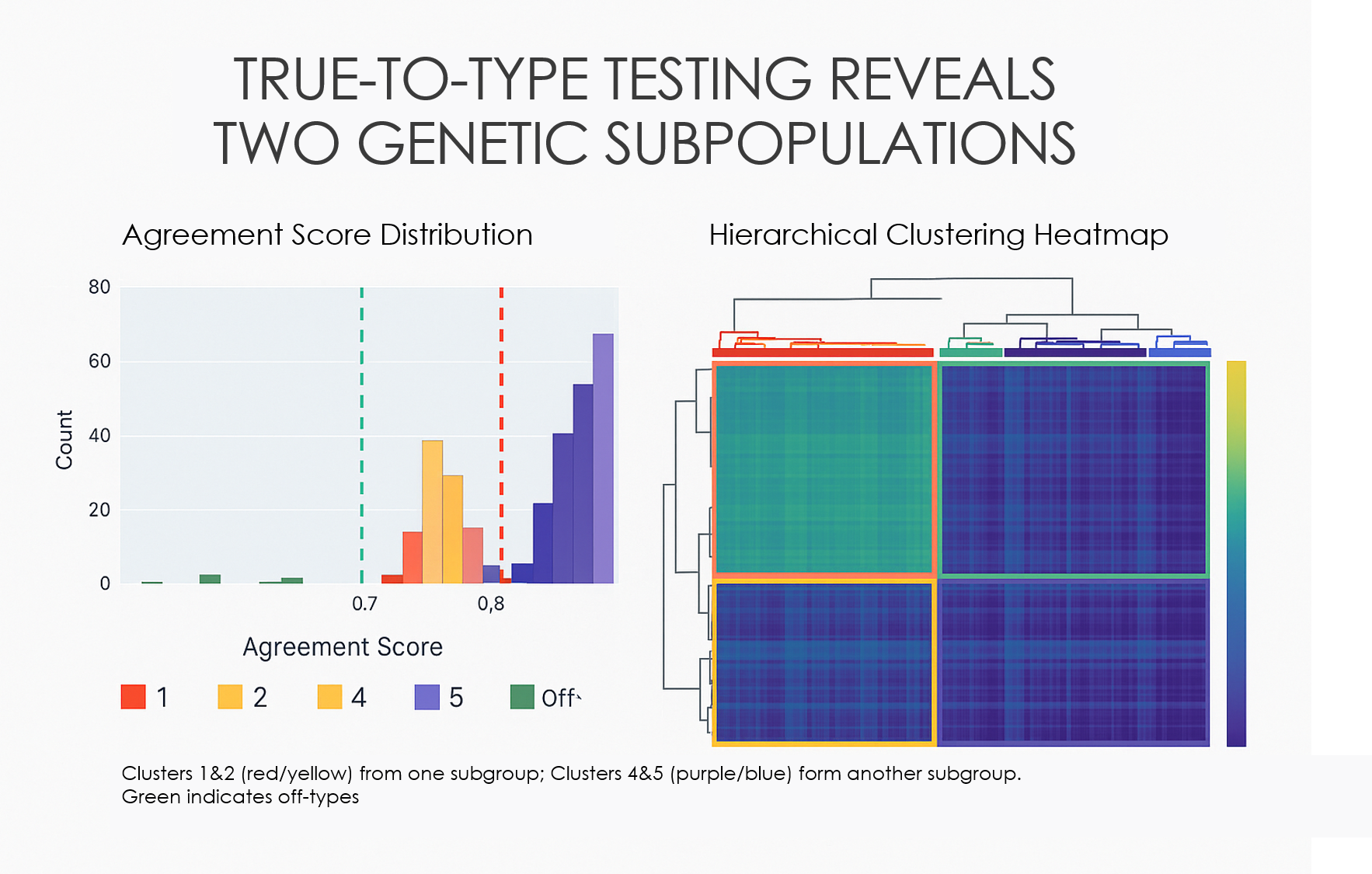 Keeping Your Crop Truly Yours: The Power of Genetic Purity
